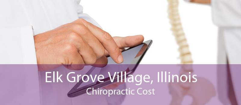 Elk Grove Village, Illinois Chiropractic Cost
