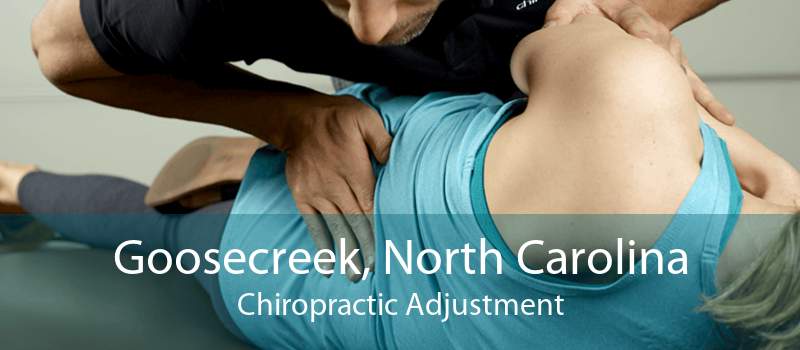 Goosecreek, North Carolina Chiropractic Adjustment