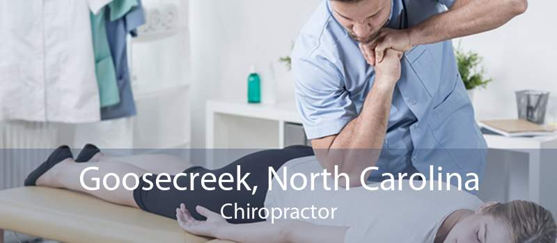 Goosecreek, North Carolina Chiropractor