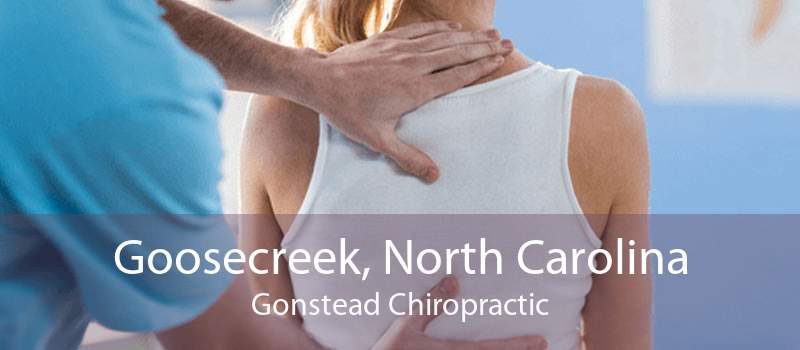 Goosecreek, North Carolina Gonstead Chiropractic