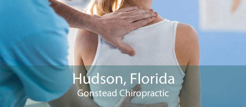 Hudson, Florida Gonstead Chiropractic