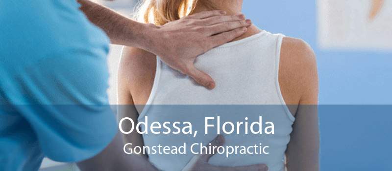 Odessa, Florida Gonstead Chiropractic