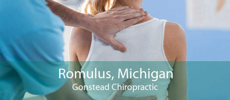Romulus, Michigan Gonstead Chiropractic