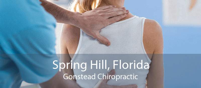Spring Hill, Florida Gonstead Chiropractic