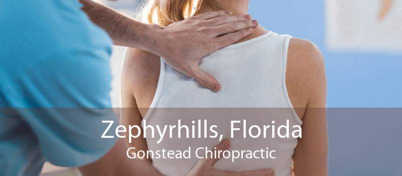 Zephyrhills, Florida Gonstead Chiropractic